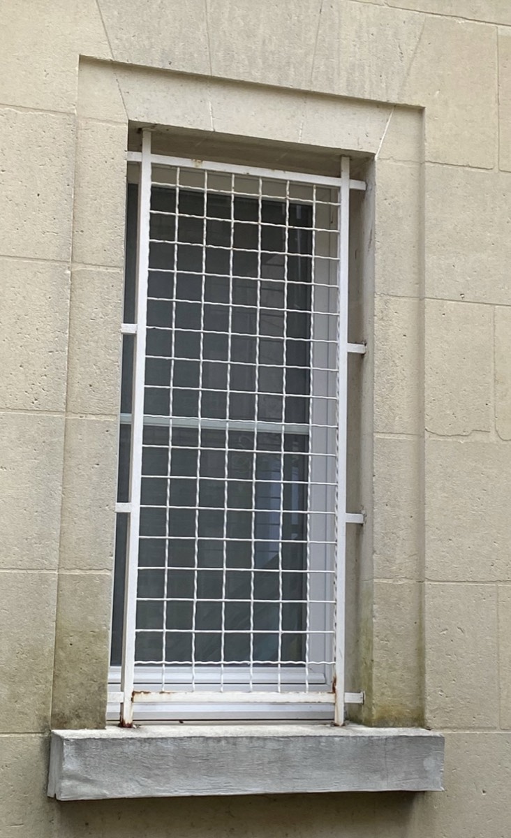 Protection de fenêtre grillage